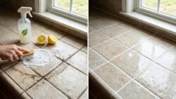 Restore Shine to Dirty Tiles and Grout Quickly Using Easy Natural Methods