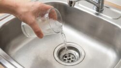 No vinegar and no baking soda : pour half a glass and the drain cleans itself