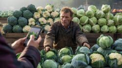 Everything you thought you knew about vegetables is wrong cauliflower broccoli and cabbage are basically the same plant and farmers are furious