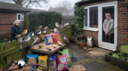 February feeders slammed for placing bargain treats that hook birds into daily visits with angry residents arguing this fake generosity ruins natural foraging instincts