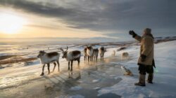Meteorologists warn an early February Arctic shift could destabilize fragile animal ecosystems