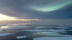 Meteorologists warn early February may expose a fragile Arctic state unseen for generations