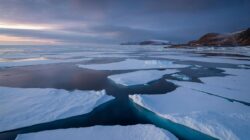 Meteorologists warn early February signals suggest the Arctic is entering uncharted territory