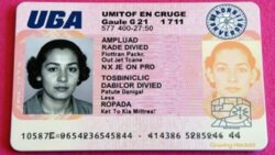 Your old pink driving licence will soon be useless: here’s when and how to change it